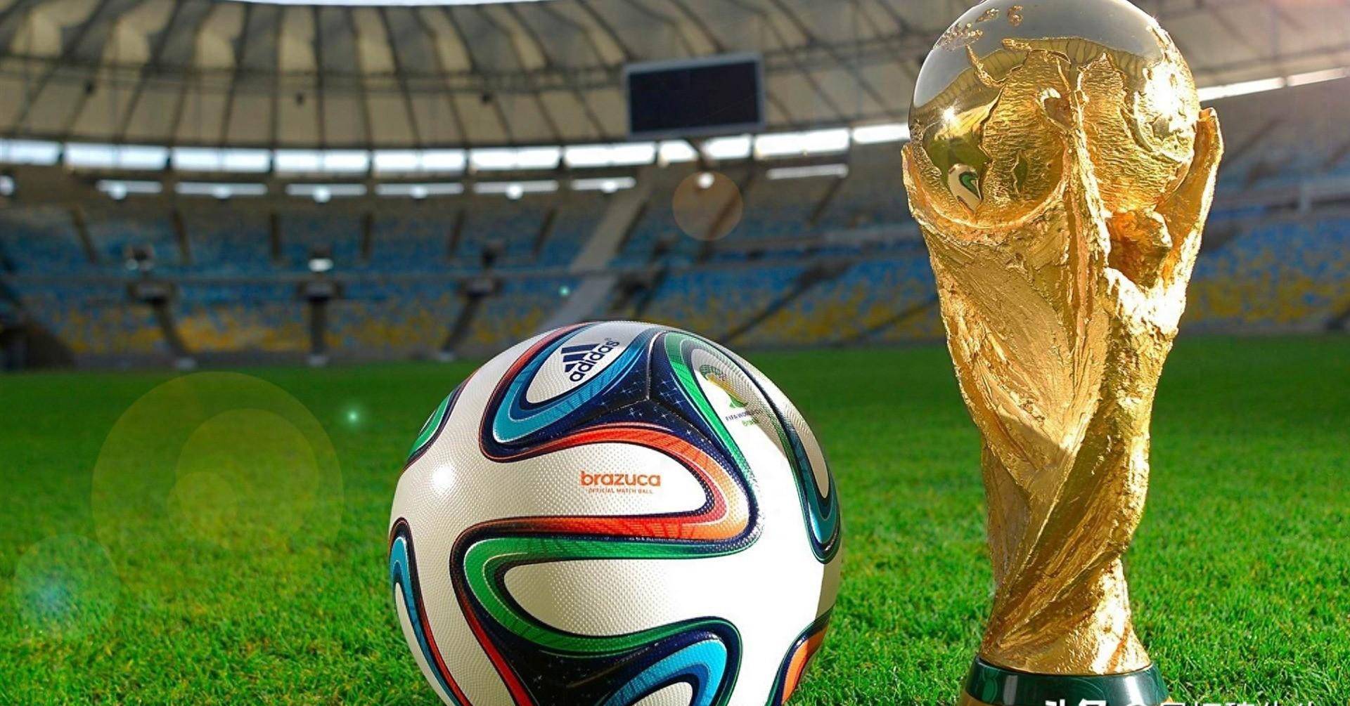 展的队伍 展的队伍