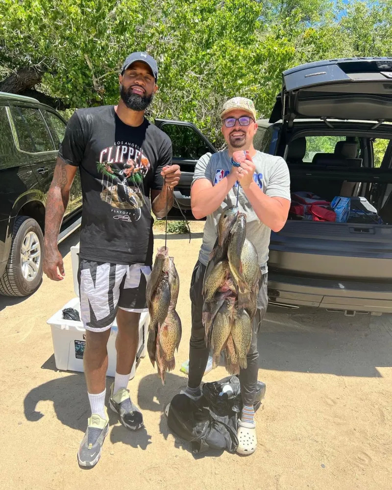 懈可击的技 懈可击的技